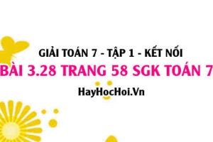 Giải bài 3.28 trang 58 Toán 7 Tập 1 SGK Kết nối tri thức
